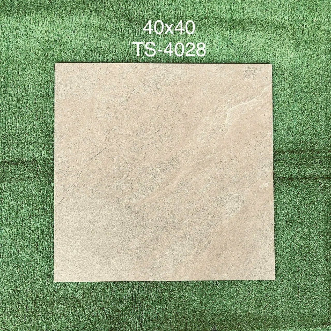 ts4028
