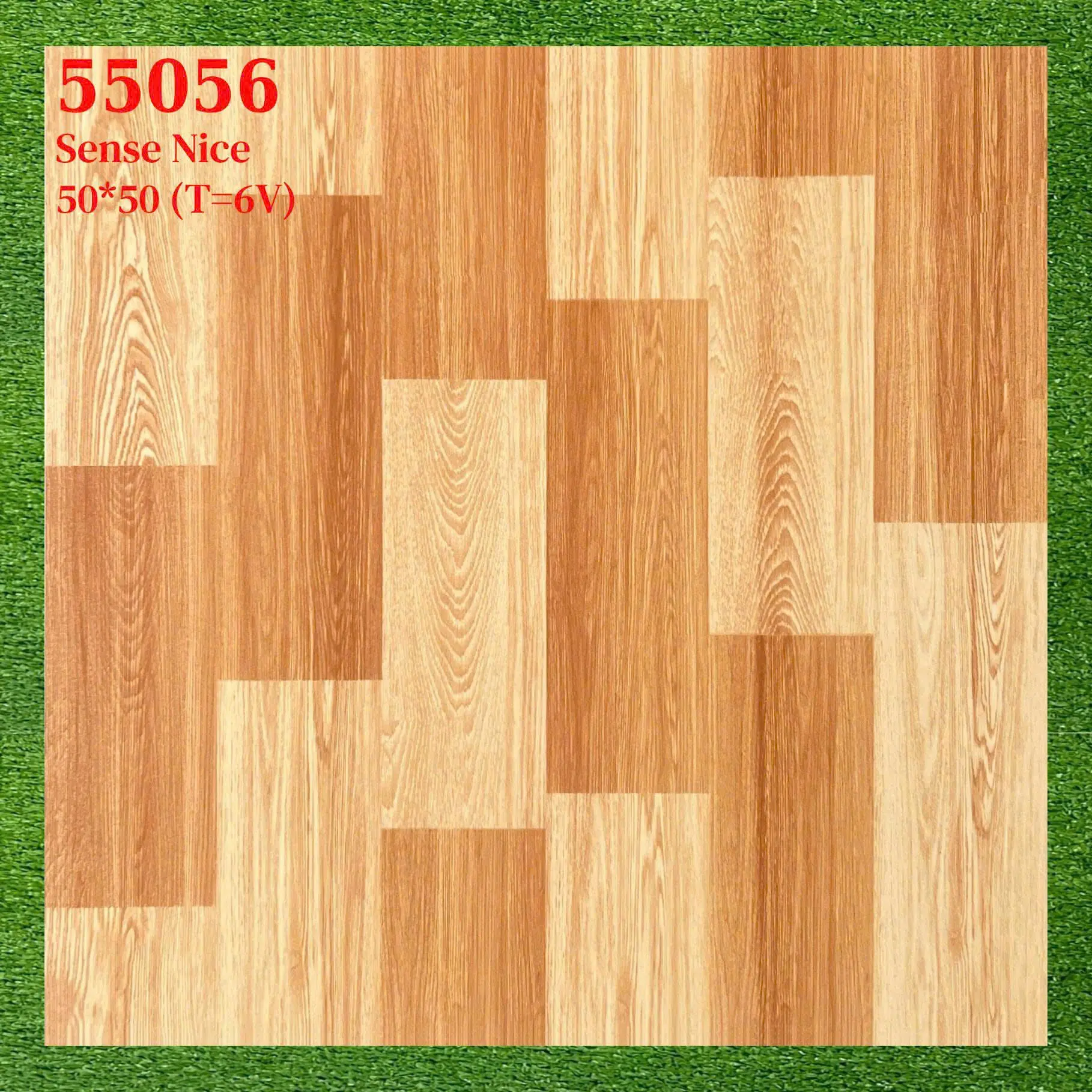 55056