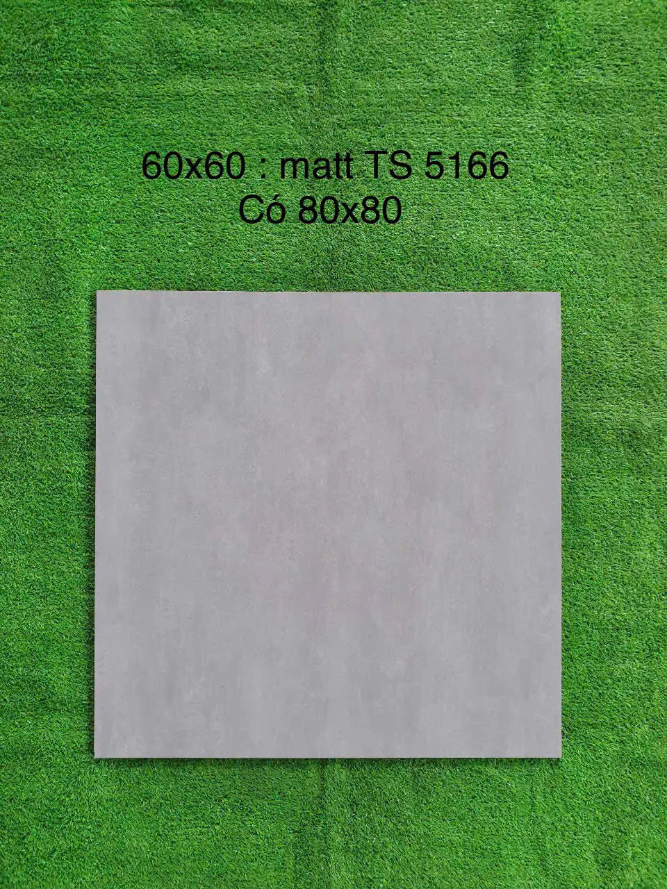 SP000326