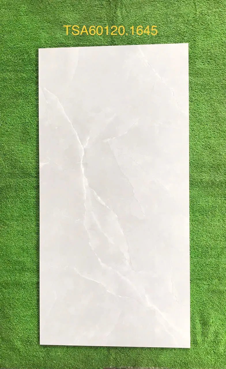 GẠCH 60X120 TSA 1645