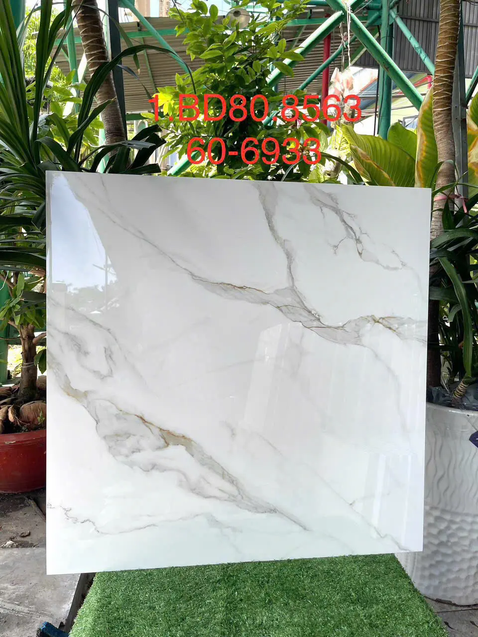 SP000331