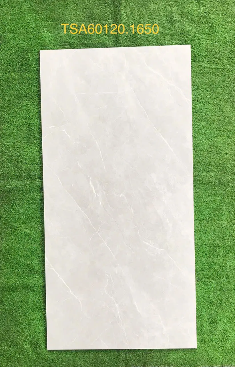GẠCH 60X120 TSA 1650