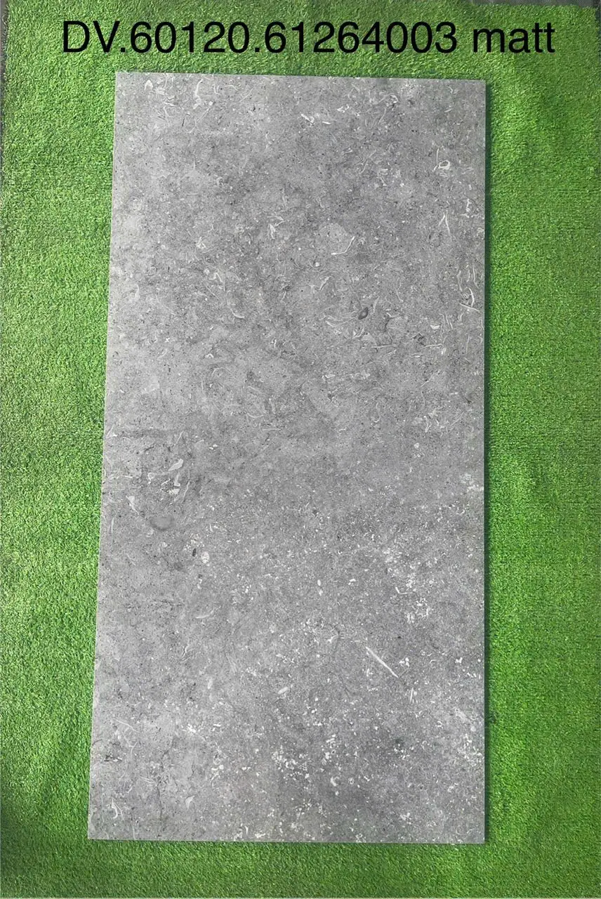 GẠCH 60X120 MATT64003