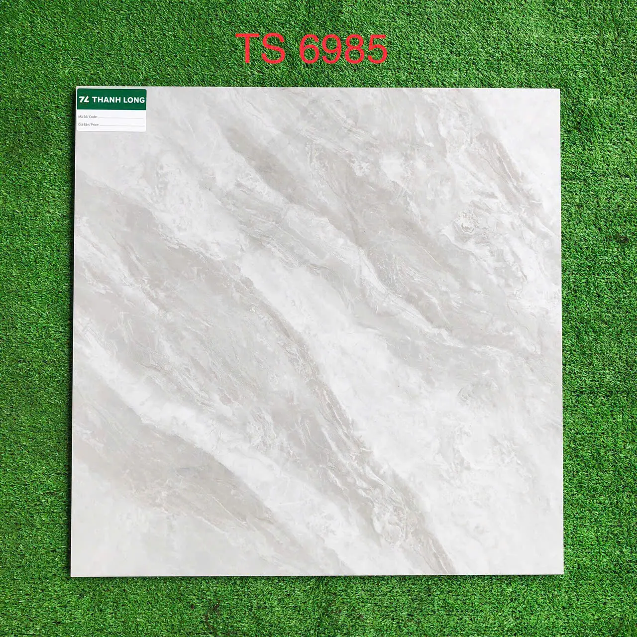 TS6985