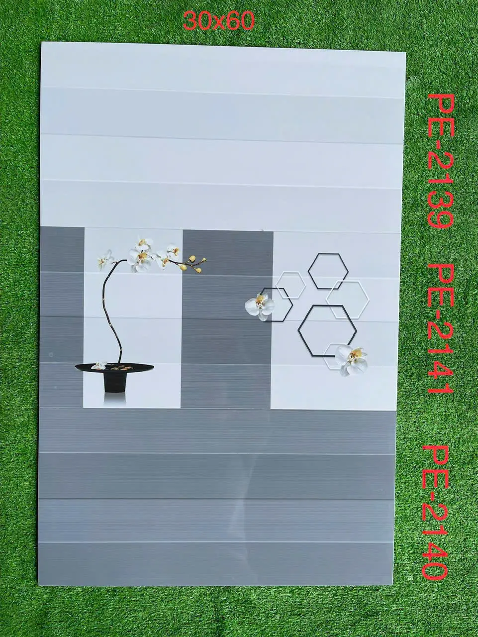 SP000446