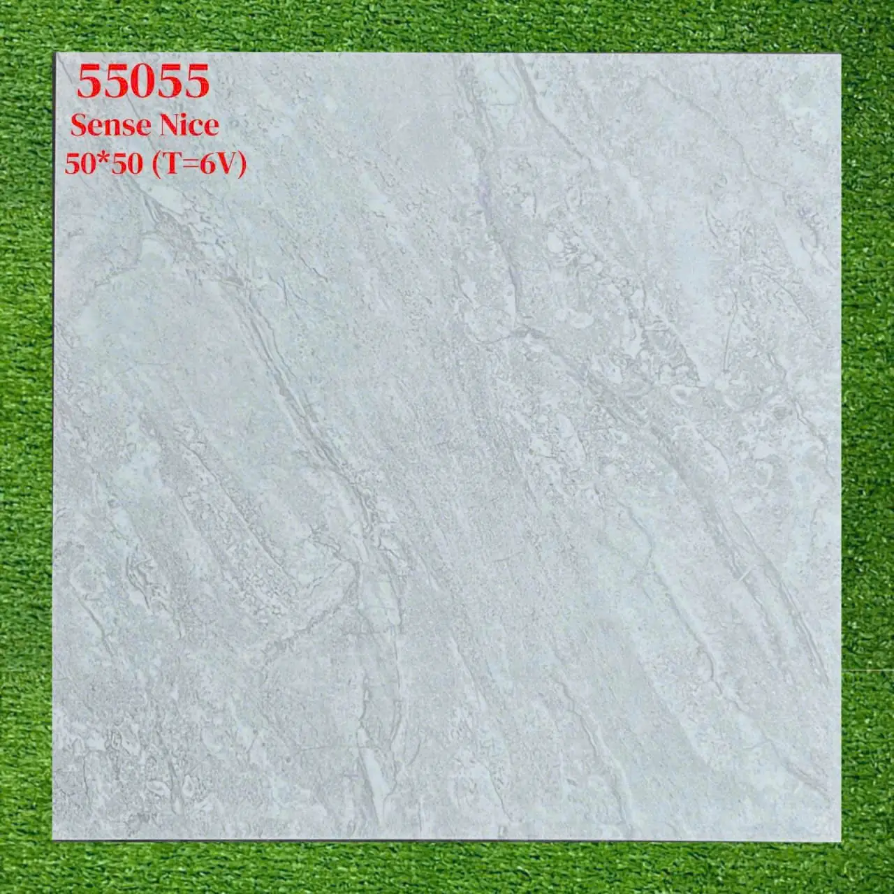 55055