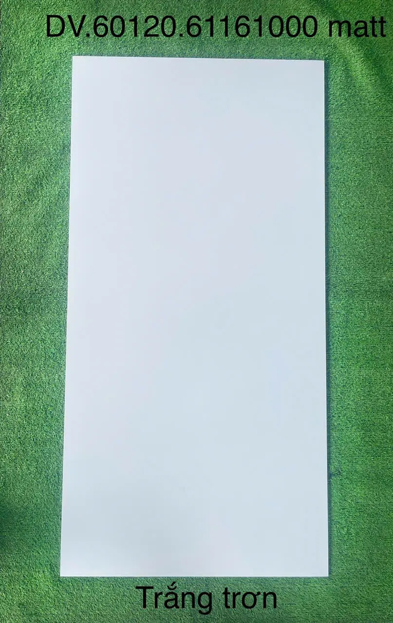GẠCH 60X120 MATT61000