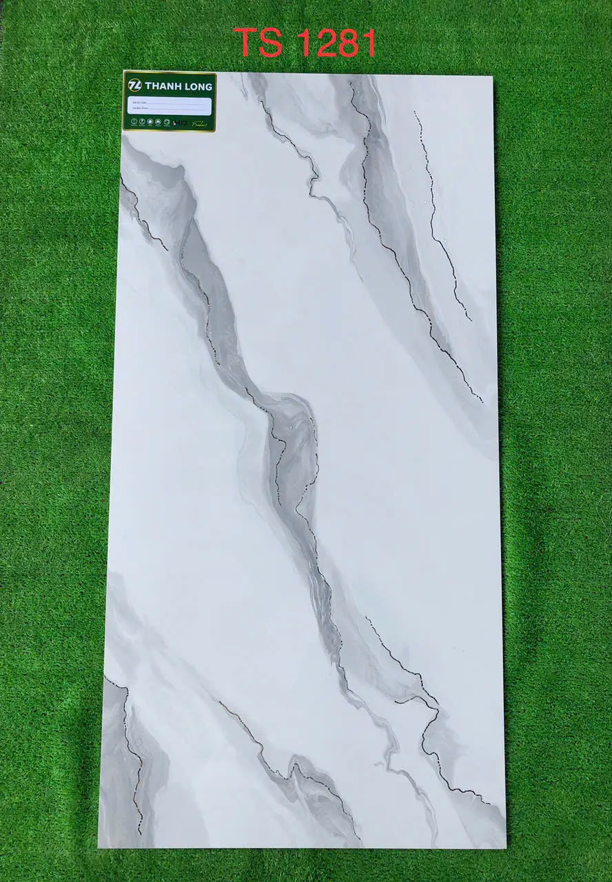 GẠCH 60X120 TS 1281