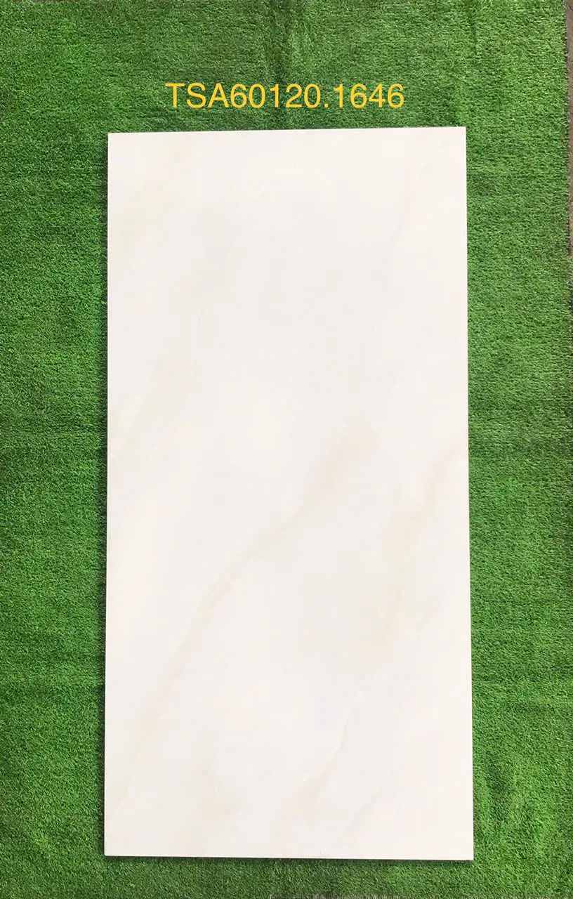GẠCH 60X120 TSA 1646