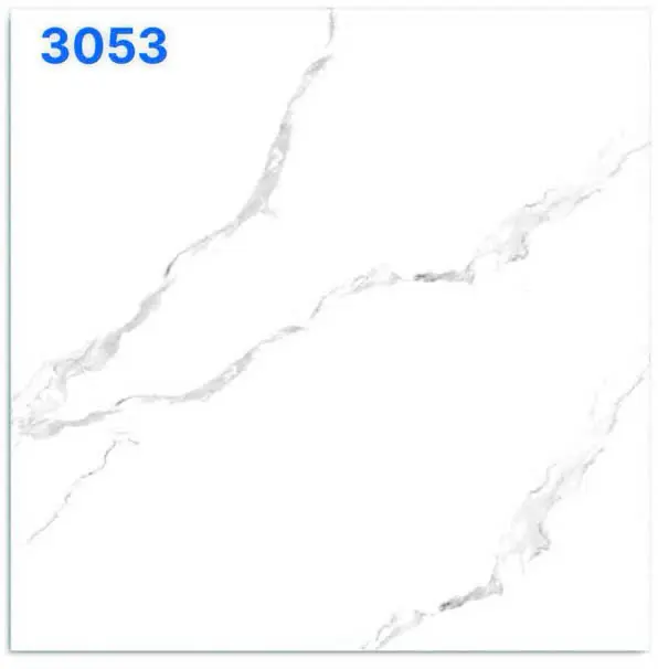 GẠCH 30x30 NỀN WC 3053