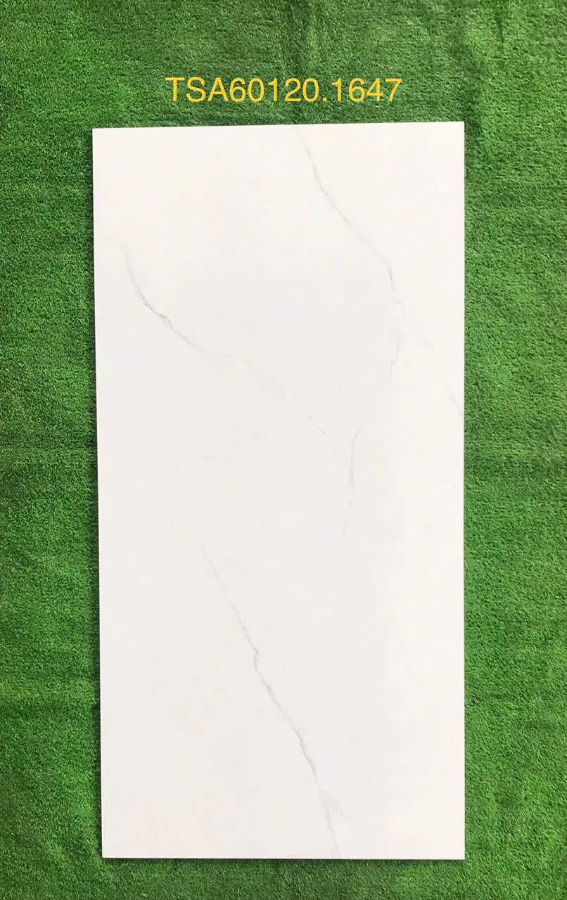 GẠCH 60X120 TSA 1647