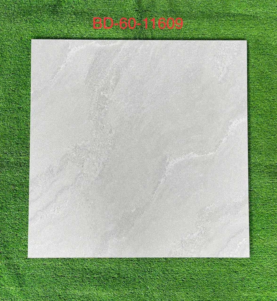 GẠCH 60X60 BD60 11609