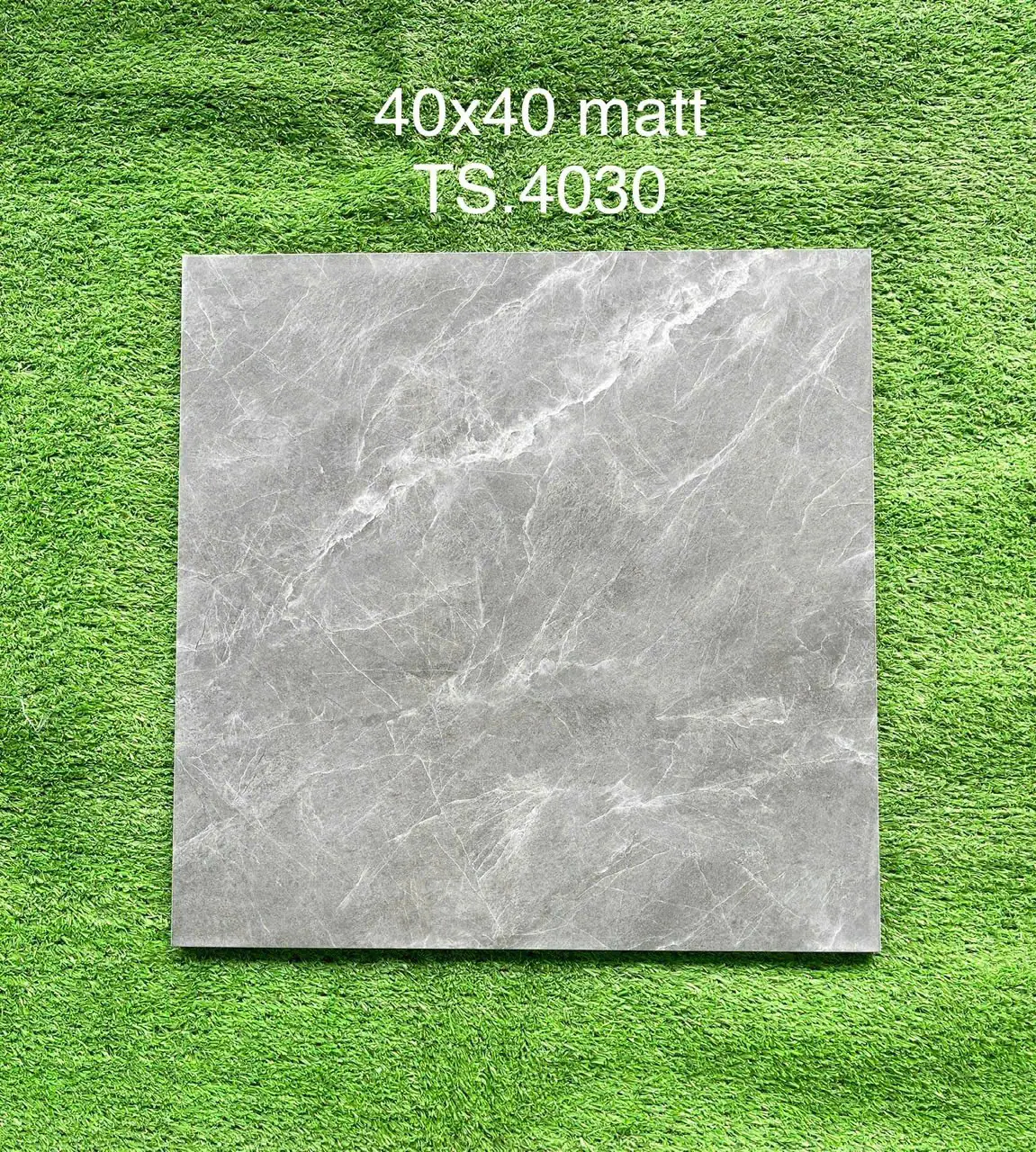 ts4030
